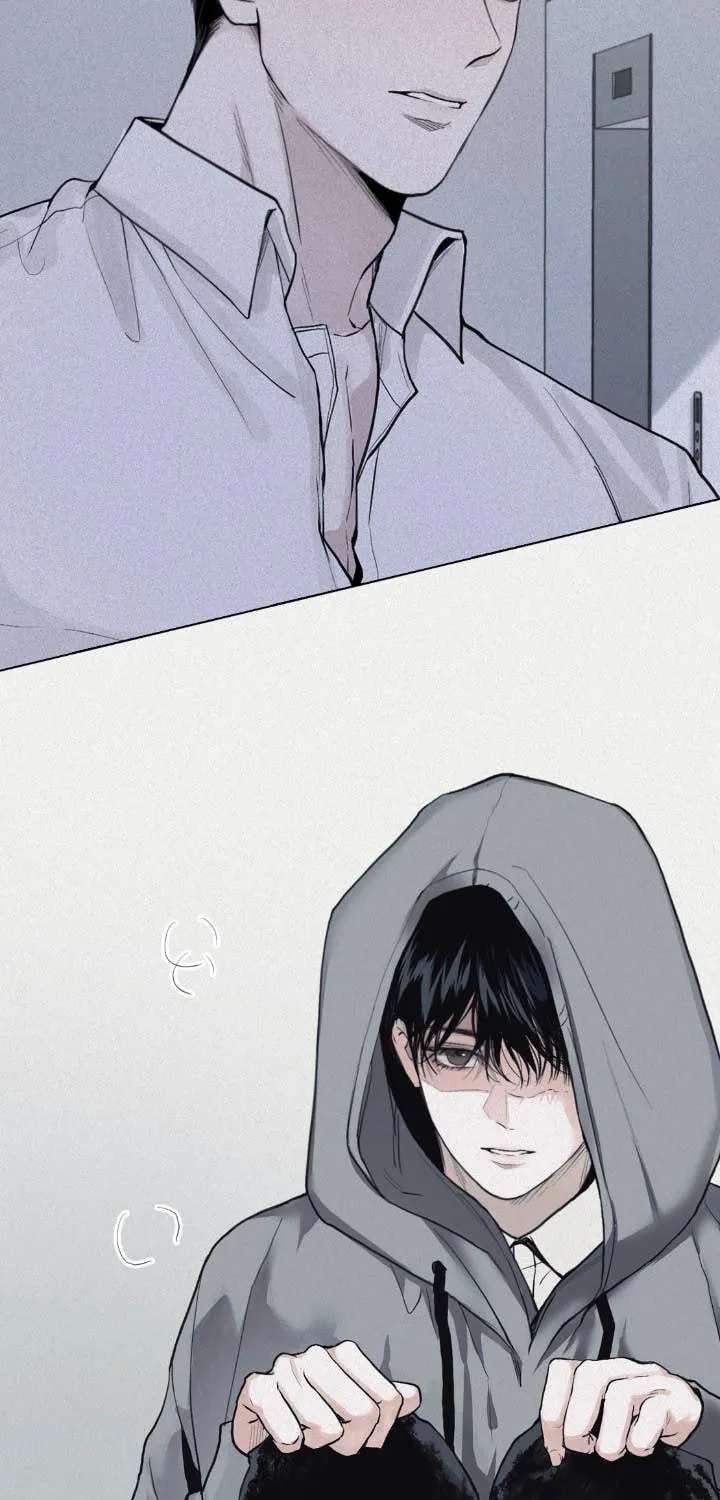 Projection Chapter 0 page 8 - 