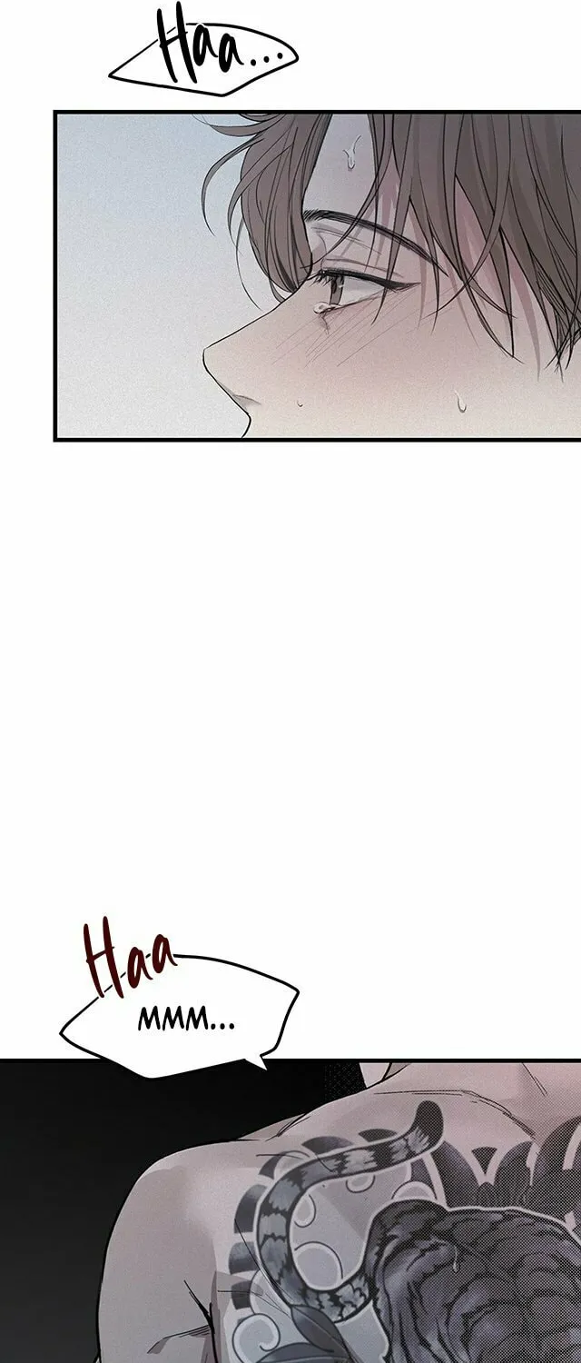 Projection Chapter 1 page 7 - 