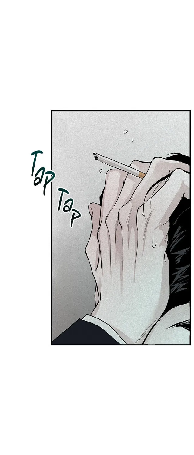 Projection Chapter 1 page 62 - 