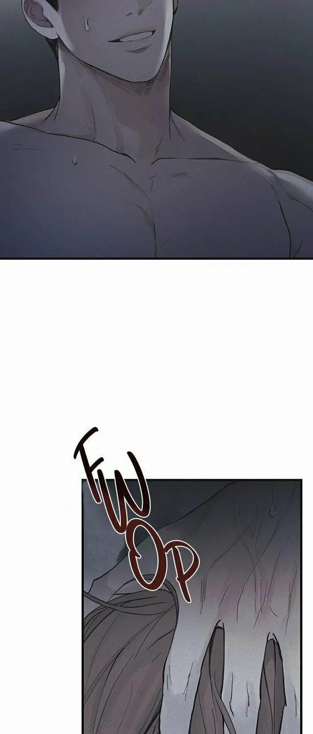 Projection Chapter 1 page 10 - 