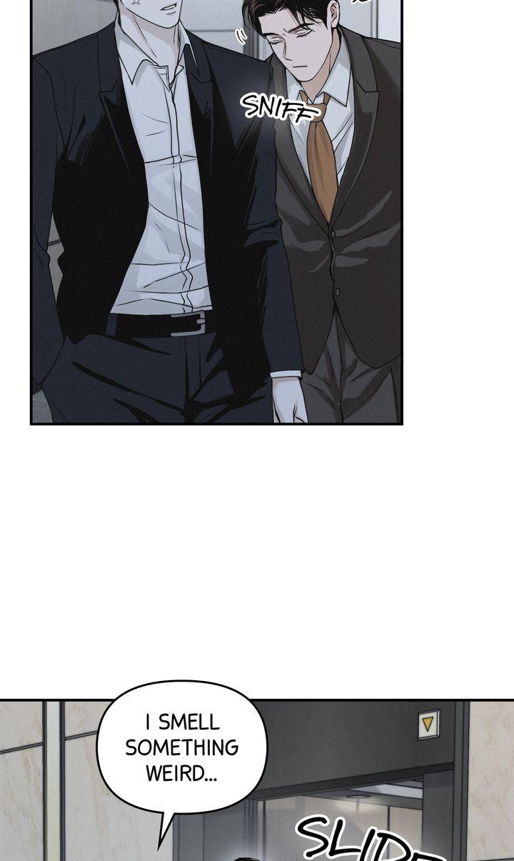 Projection Chapter 43.1 page 13 - 