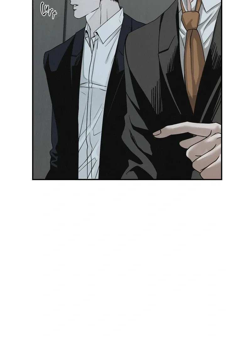 Projection Chapter 43 page 19 - 