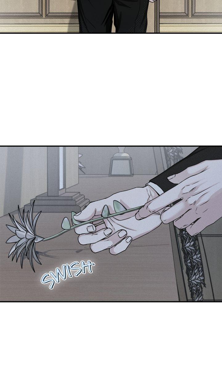 Projection Chapter 49.2 page 12 - 