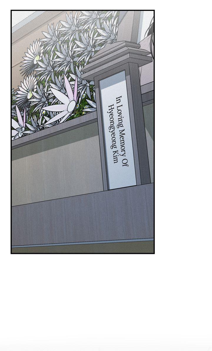 Projection Chapter 49.2 page 10 - 