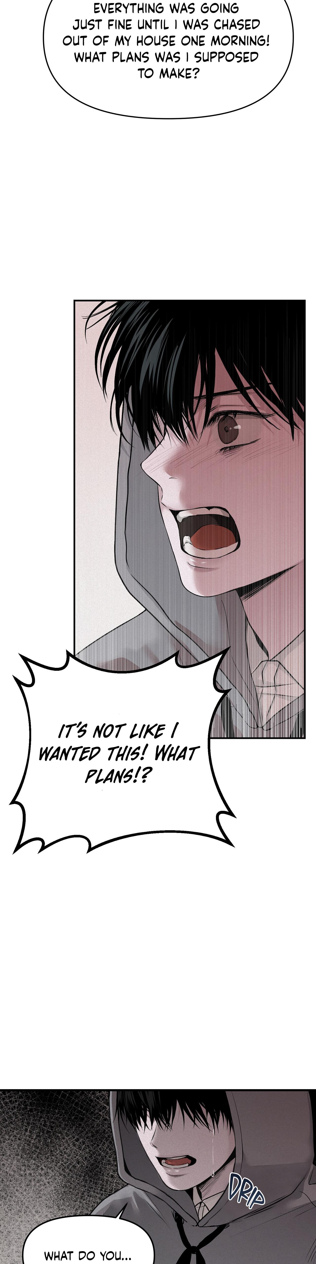 Projection Chapter 53.8 page 4 - 
