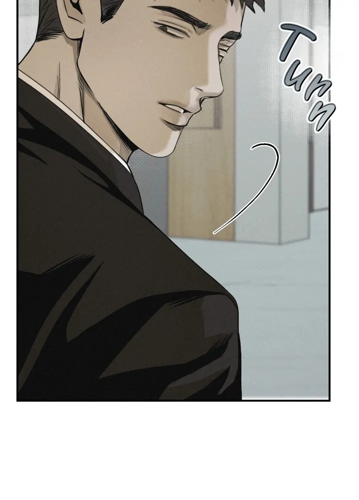 Projection Chapter 56.6 page 17 - 