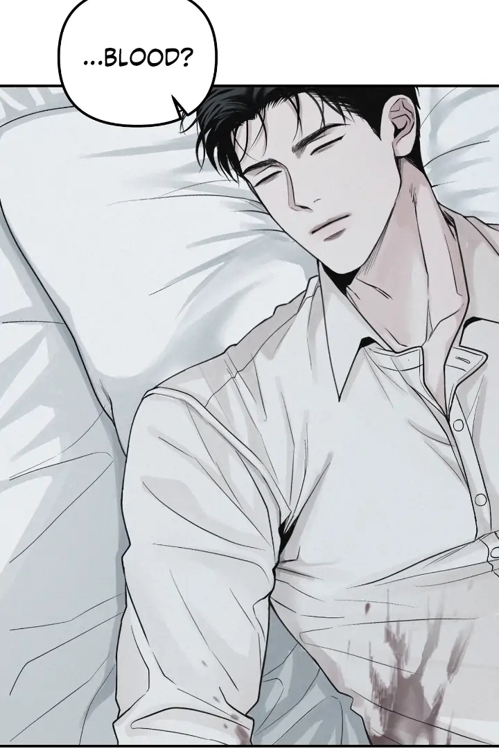 Projection Chapter 56.6 page 42 - 