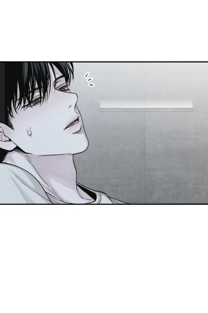 Projection Chapter 56.6 page 81 - 