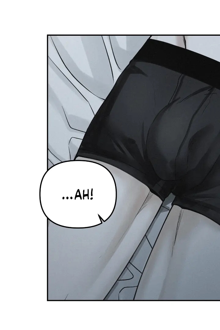 Projection Chapter 56.6 page 82 - 