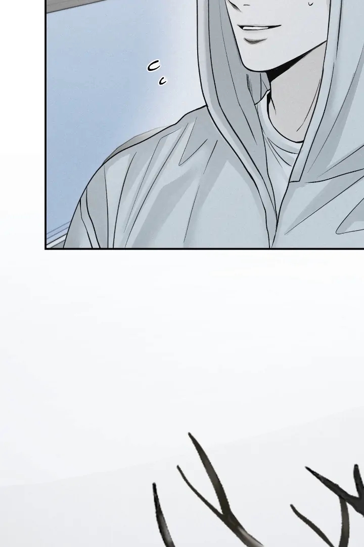 Projection Chapter 56.8 page 32 - 