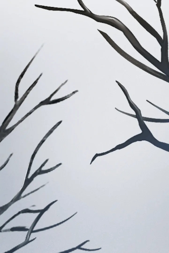 Projection Chapter 56.8 page 33 - 
