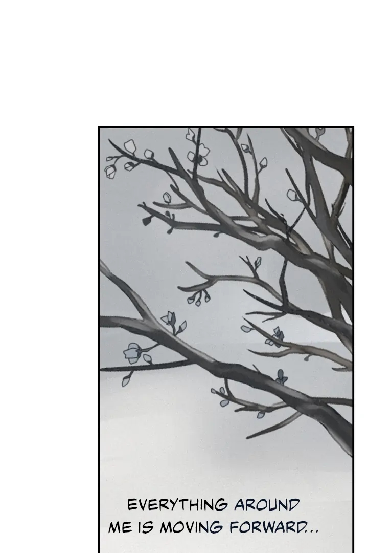 Projection Chapter 56.8 page 36 - 