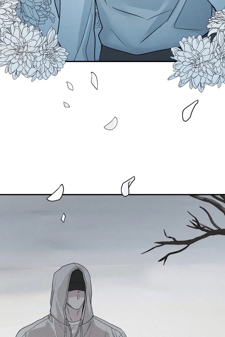 Projection Chapter 56.8 page 41 - 