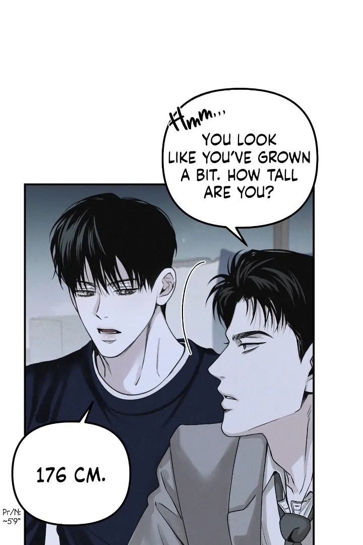 Projection Chapter 56.8 page 75 - 