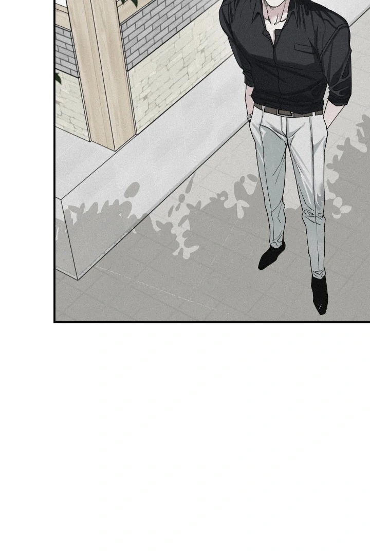 Projection Chapter 56.9 page 19 - 