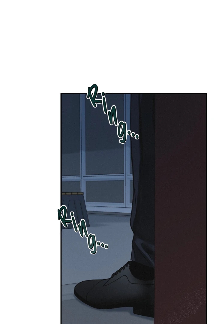 Projection Chapter 57.6 page 93 - 