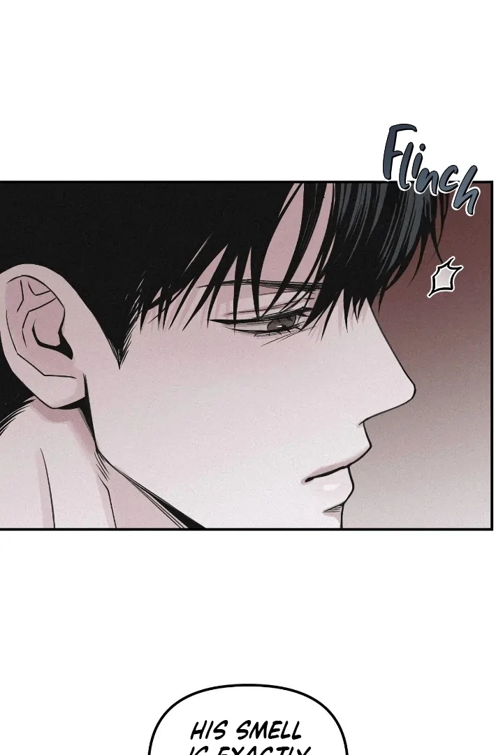 Projection Chapter 57 page 71 - 