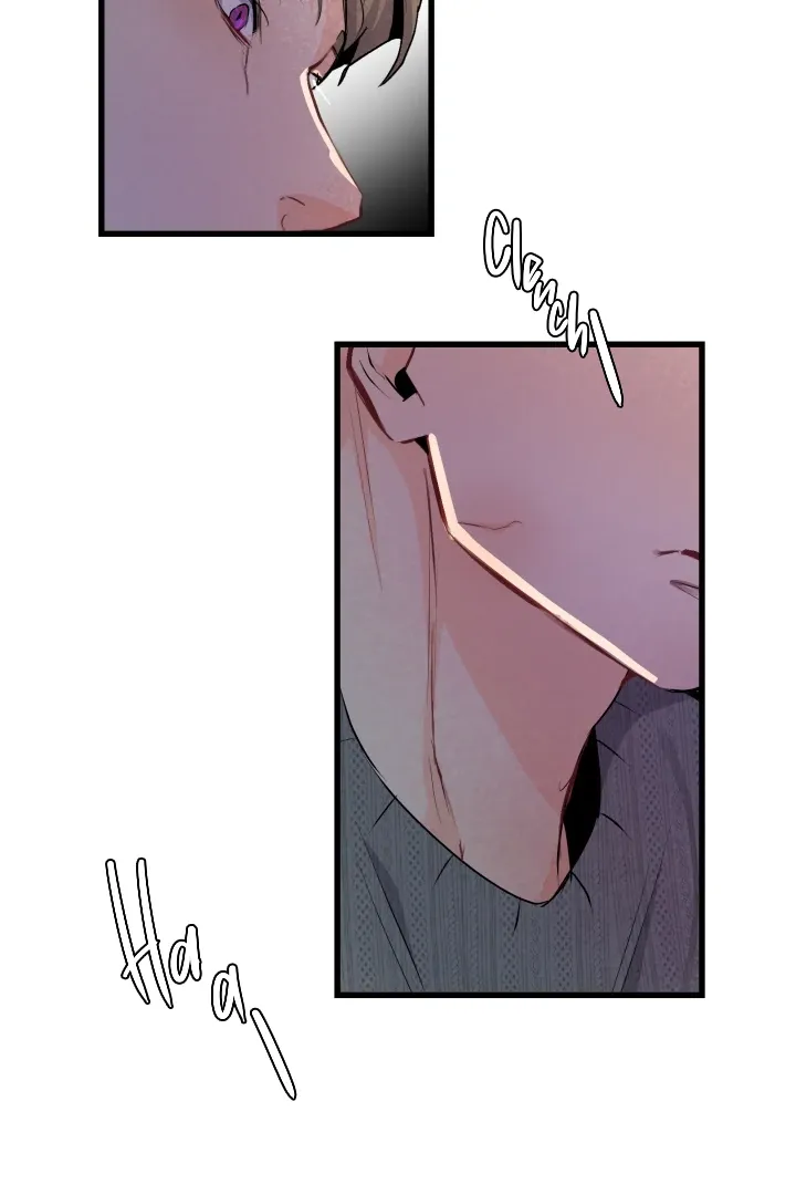 Prostate Capture Report Chapter 17 page 103 - 