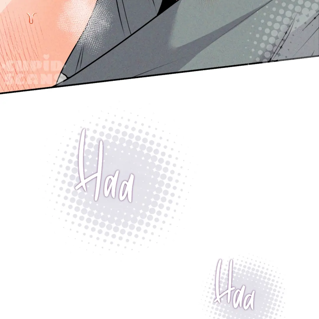 Prostate Capture Report Chapter 24 page 66 - 