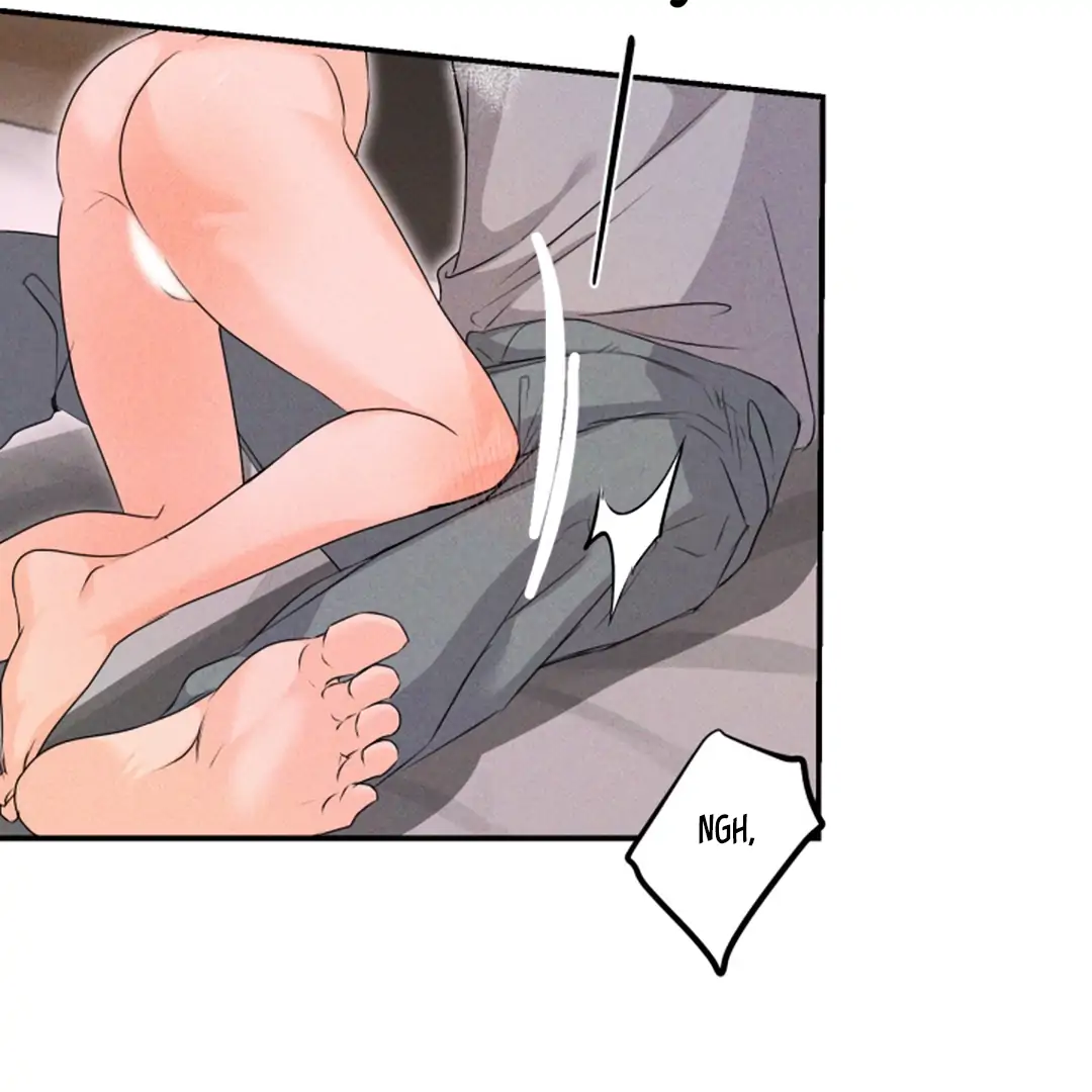 Prostate Capture Report Chapter 24 page 93 - 