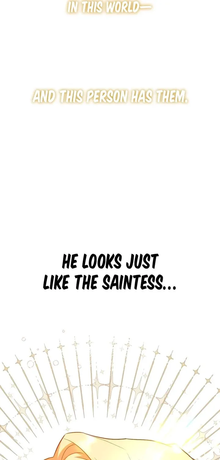 Protect the fake Saint Chapter 1 page 173 - 
