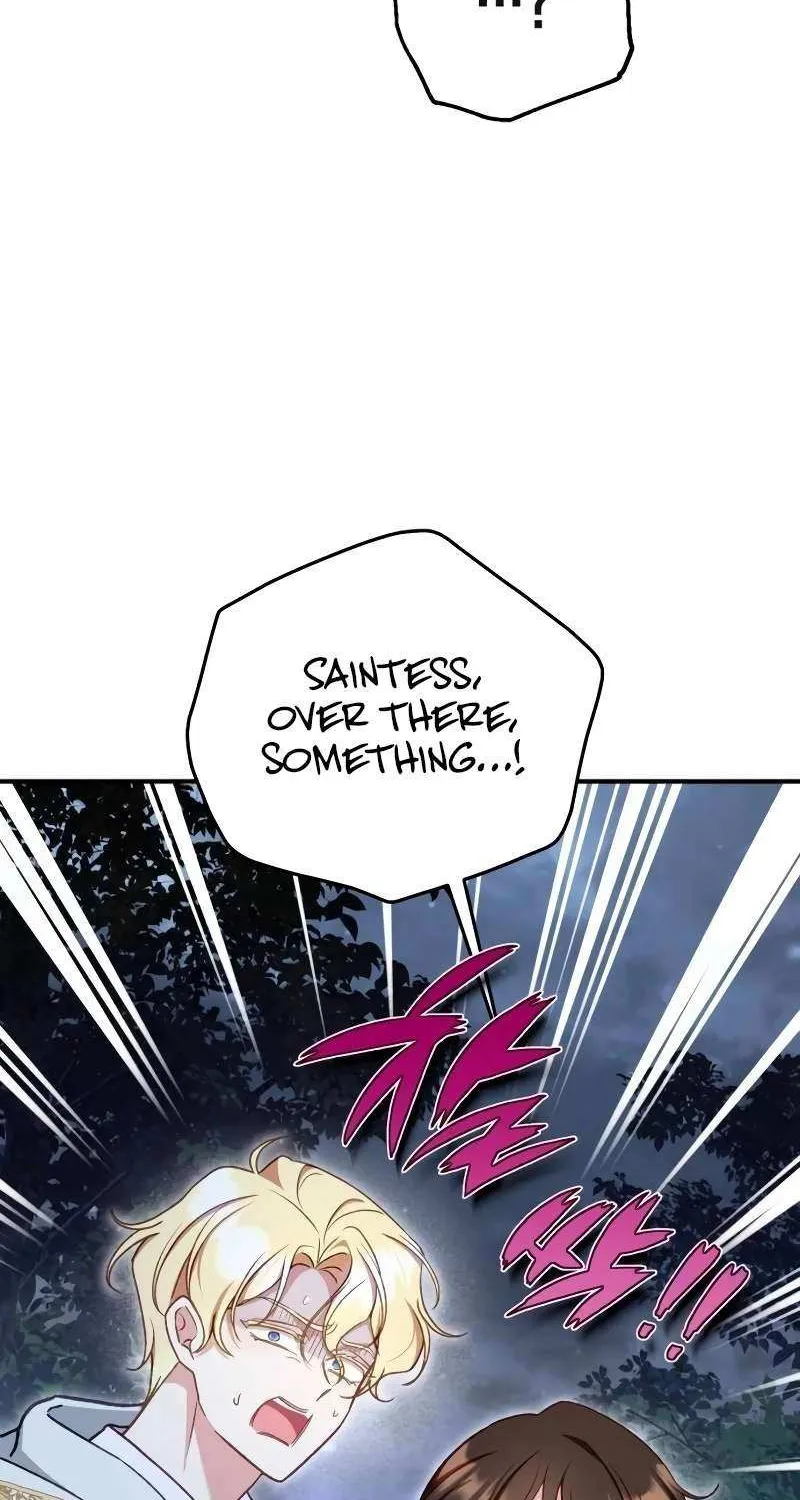 Protect the fake Saint Chapter 11 page 25 - 