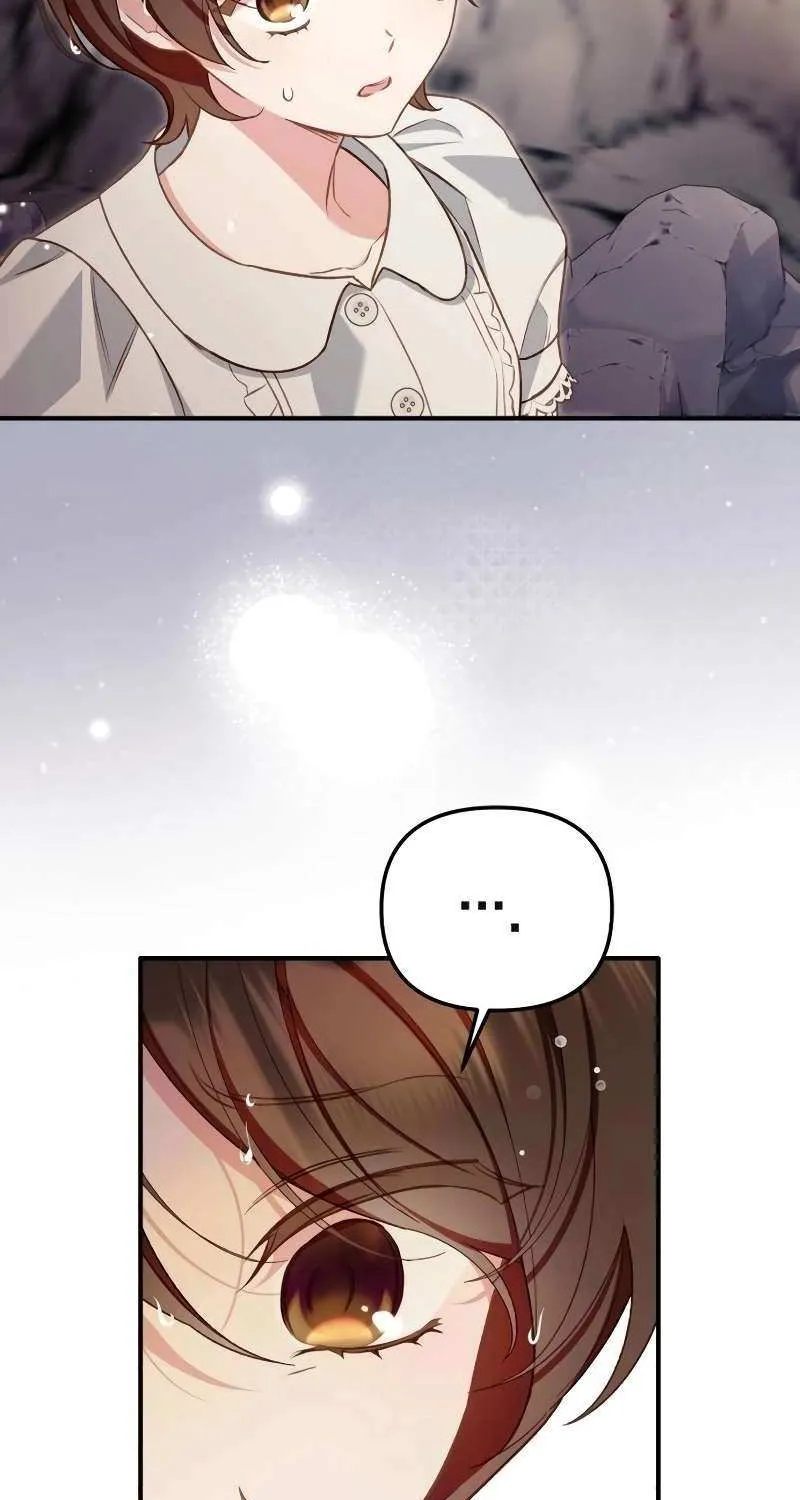 Protect the fake Saint Chapter 11 page 65 - 
