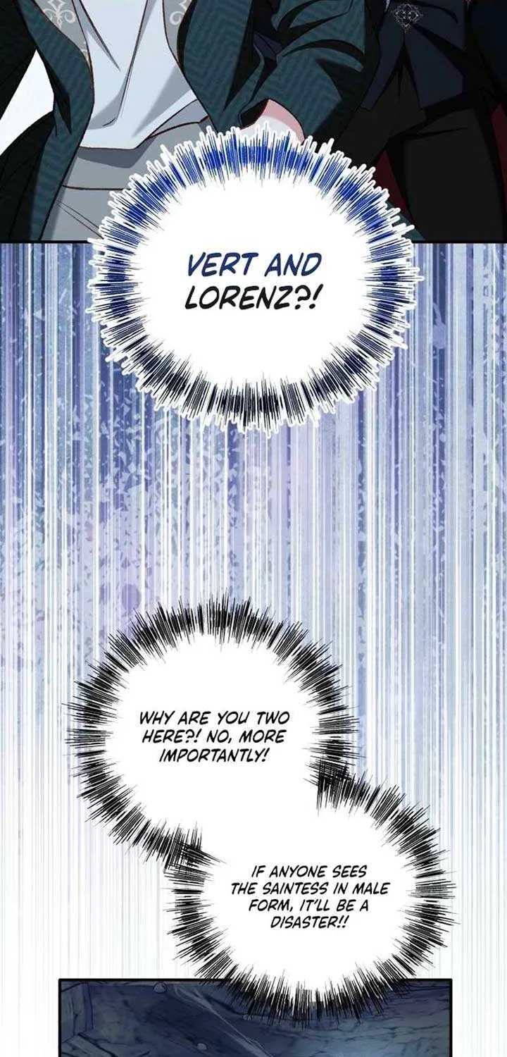 Protect the fake Saint Chapter 12 page 3 - 
