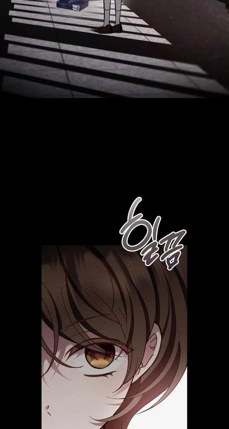 Protect the fake Saint Chapter 13 page 13 - 