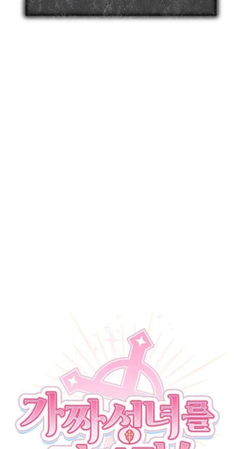 Protect the fake Saint Chapter 15 page 25 - 