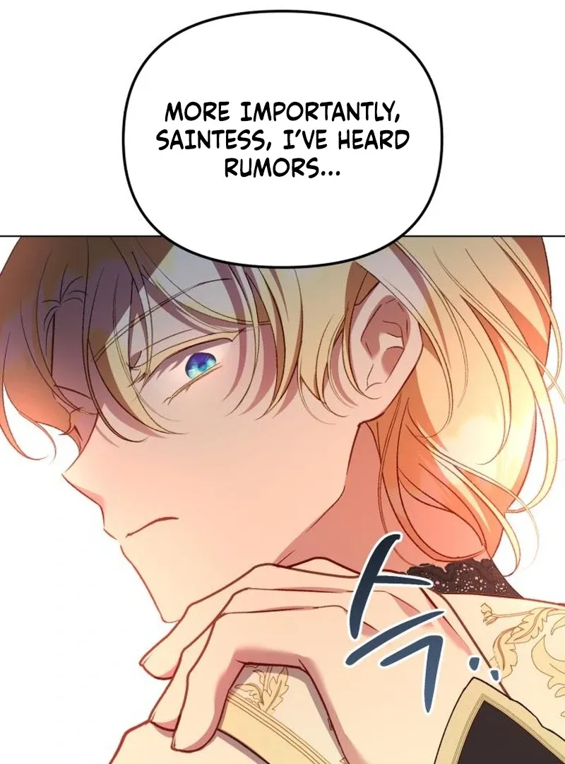 Protect the fake Saint Chapter 17 page 24 - 