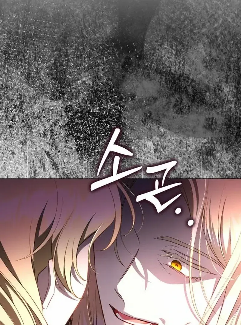 Protect the fake Saint Chapter 17 page 30 - 