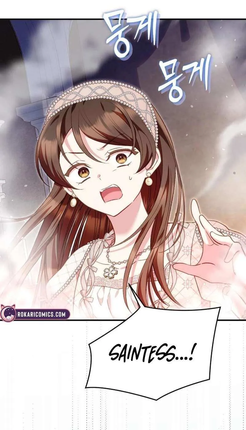 Protect the fake Saint Chapter 19 page 12 - 