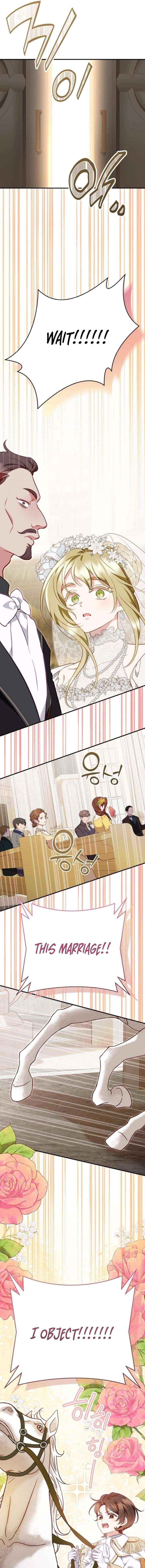 Protect the fake Saint Chapter 23 page 15 - 