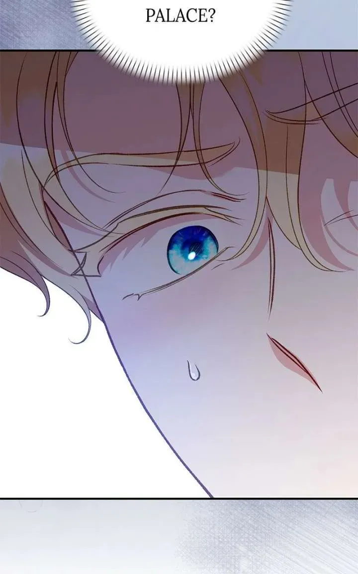 Protect the fake Saint Chapter 28 page 117 - 