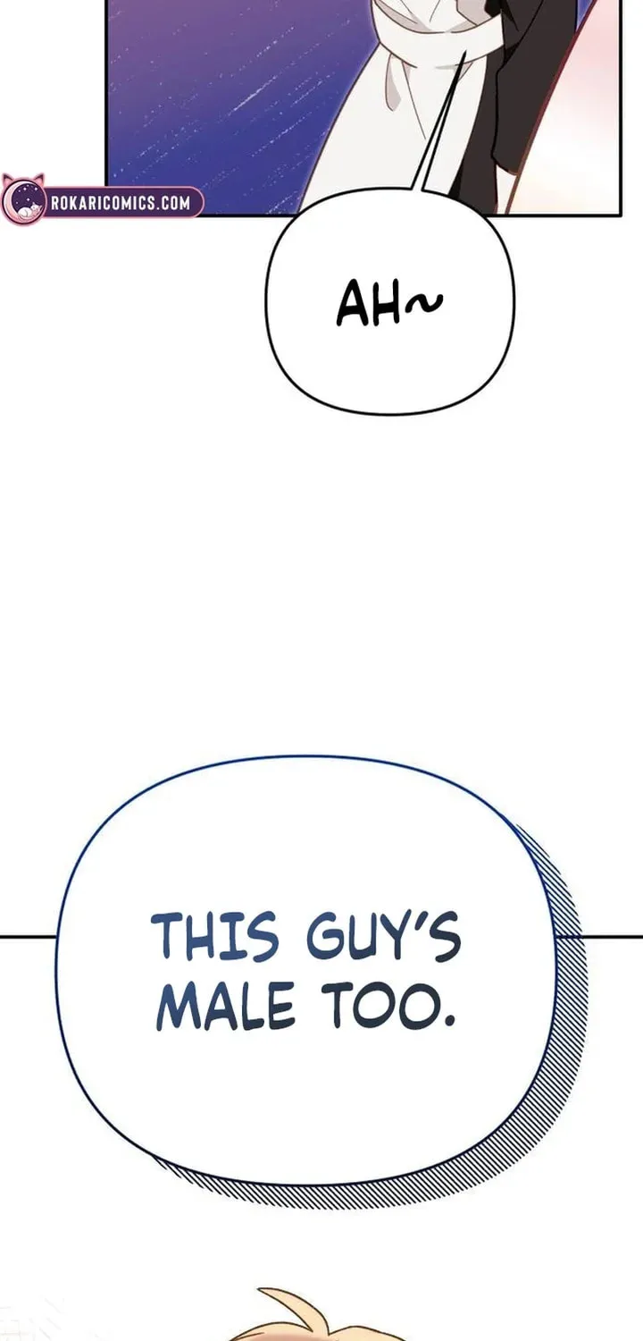 Protect the fake Saint Chapter 3 page 29 - 