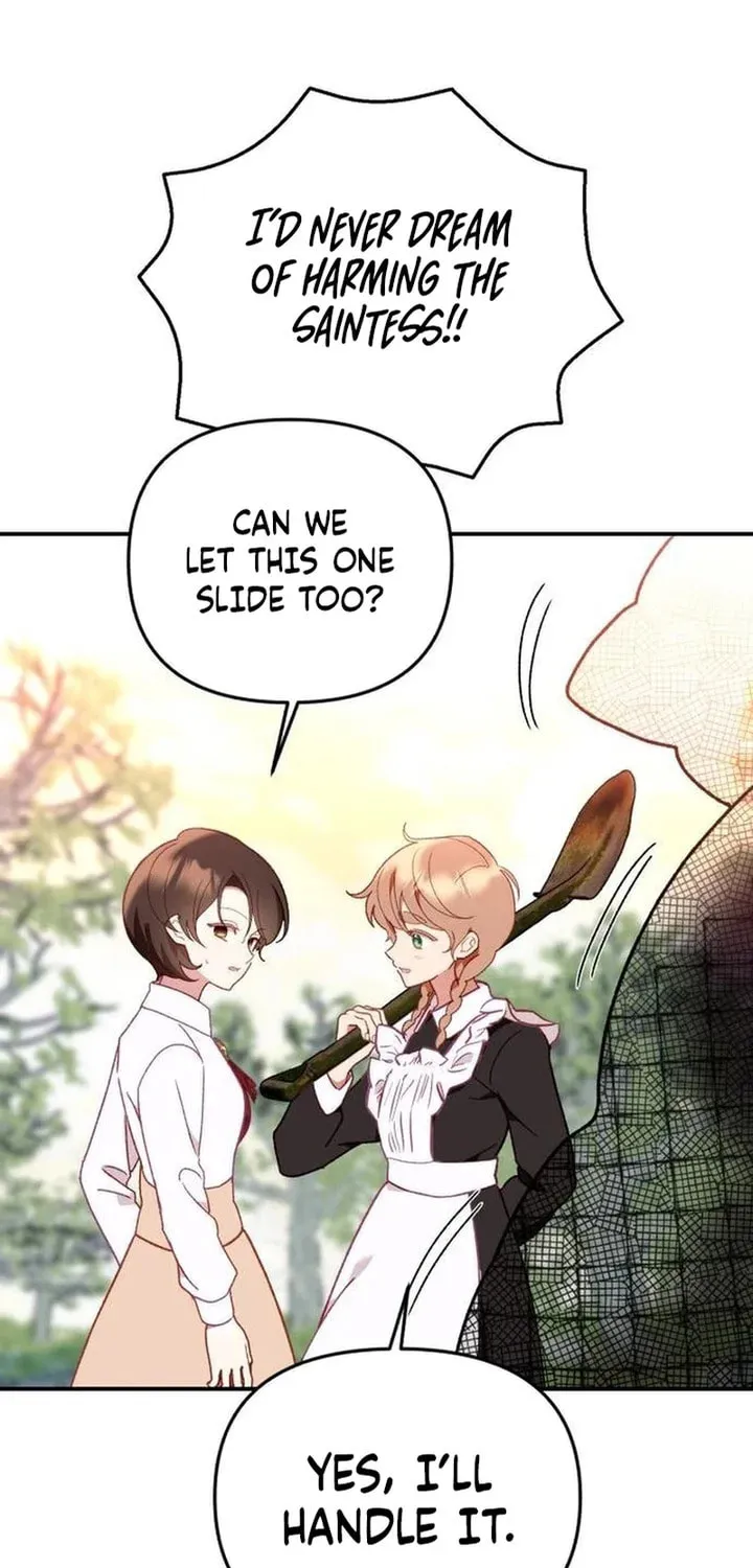 Protect the fake Saint Chapter 3 page 45 - 