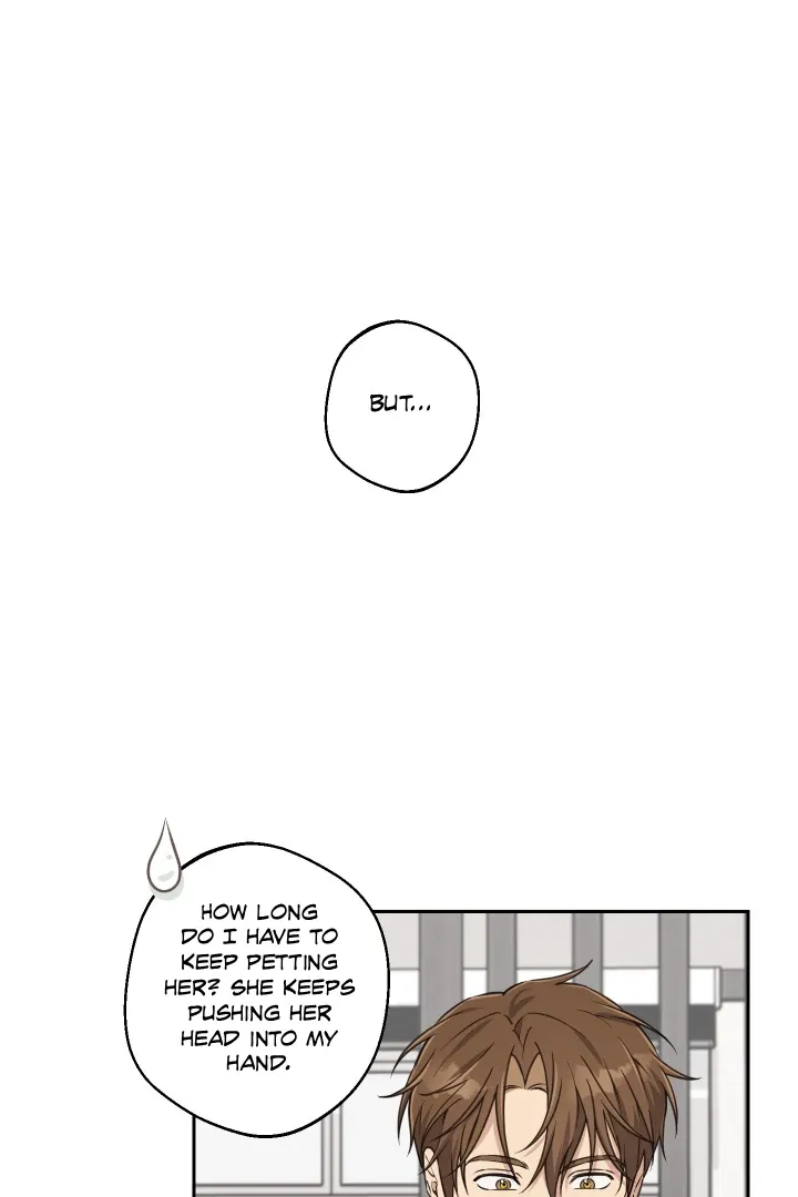 Protect your purity! Chapter 31 page 34 - 