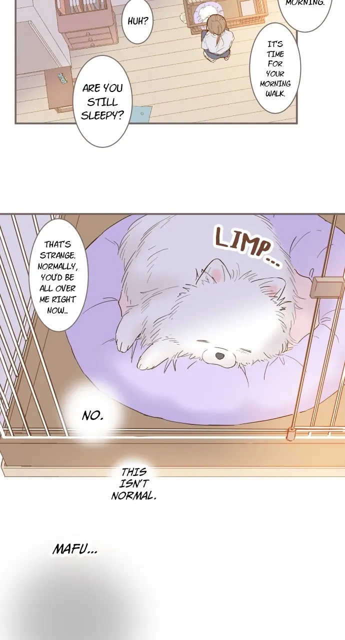 Protected byMy Dragon Knight Chapter 1 page 28 - 