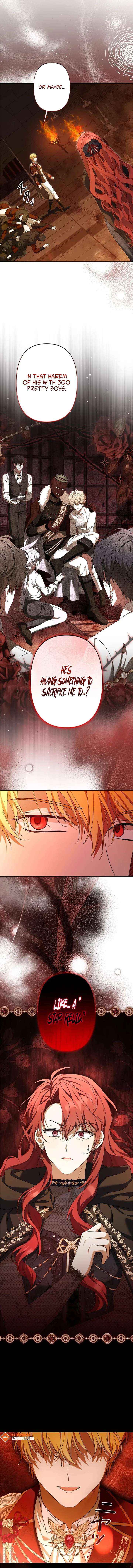 Protecting My Dangerous Handsome Brother Chapter 2 page 12 - 