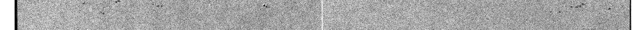 PTSD Radio Chapter 12 page 52 - 
