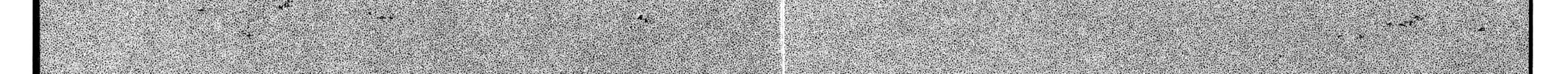 PTSD Radio Chapter 13 page 42 - 