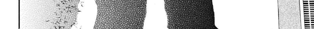 PTSD Radio Chapter 2 page 74 - 