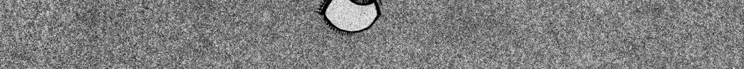 PTSD Radio Chapter 37 page 2 - 