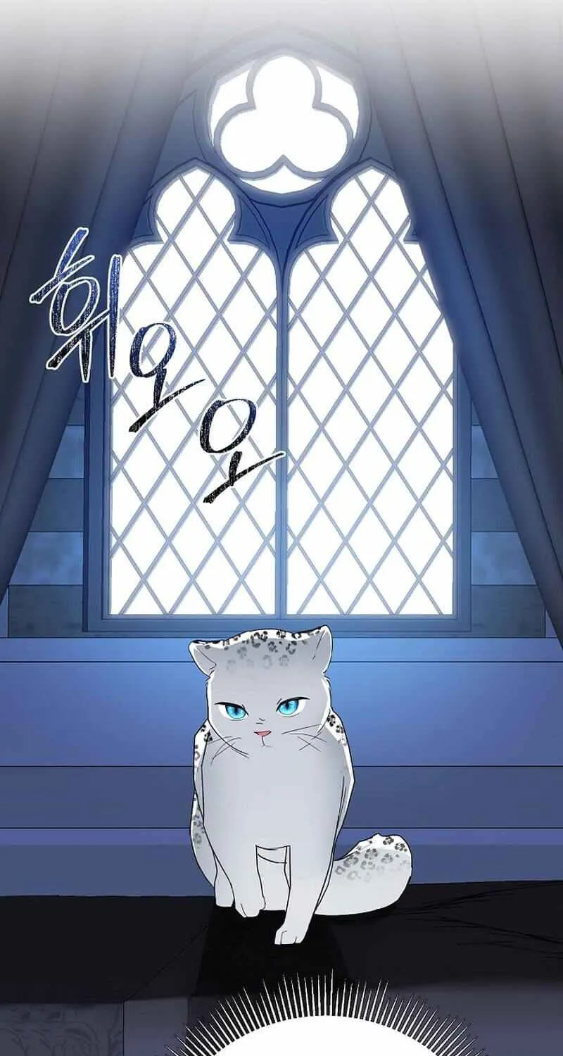 Pulling the Grand Duke’s Leash Chapter 12 page 17 - 