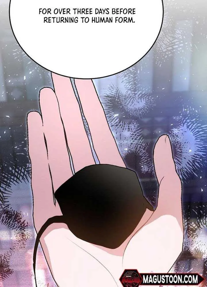 Pulling the Grand Duke’s Leash Chapter 2 page 77 - 