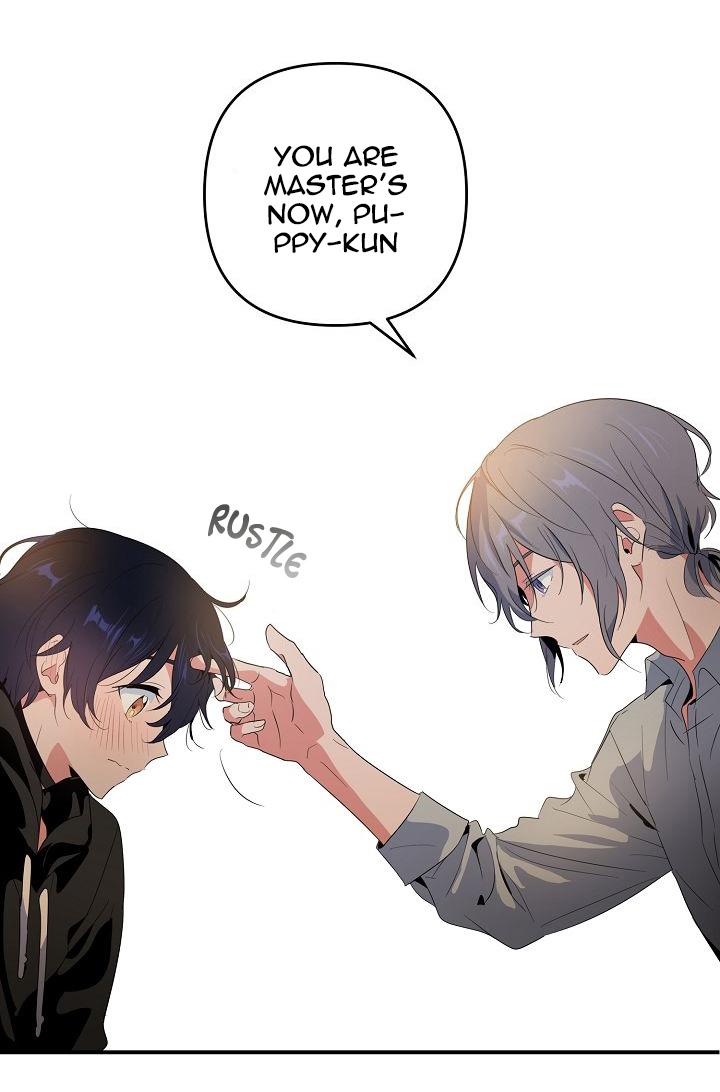 Puppy Love Chapter 4 page 41 - 