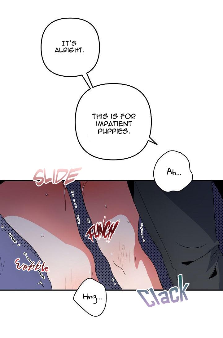 Puppy Love Chapter 6 page 37 - 