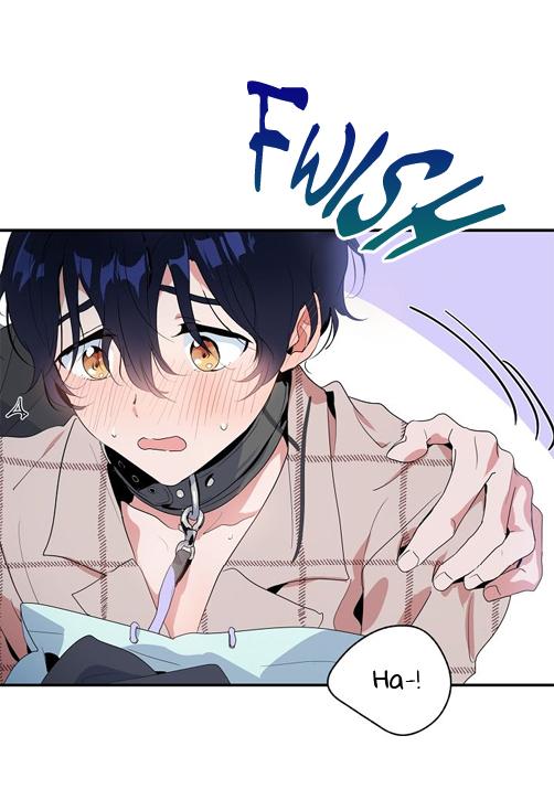 Puppy Love Chapter 8 page 24 - 