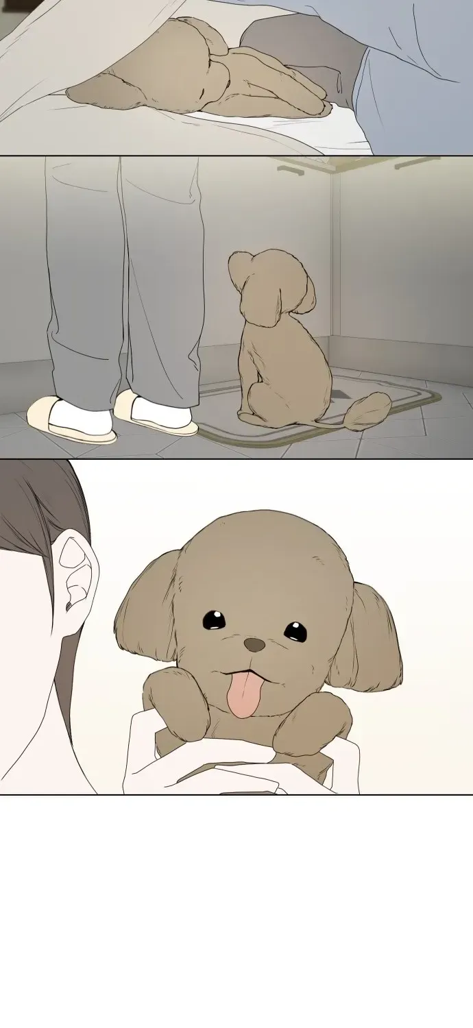 Puppy Star Chapter 1 page 48 - 